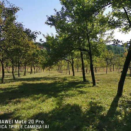 Ferienhaus Anesa Rakovica