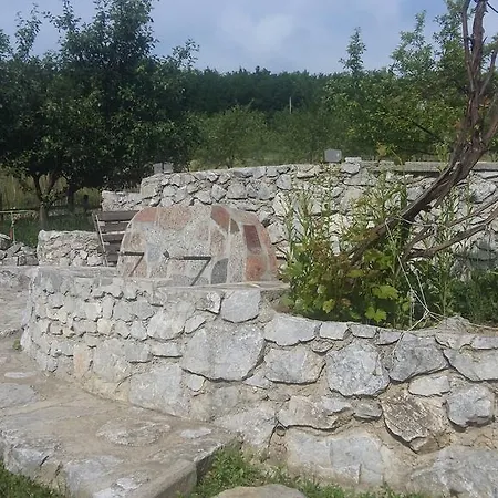 Anesa *